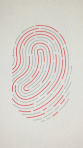 fingerprint