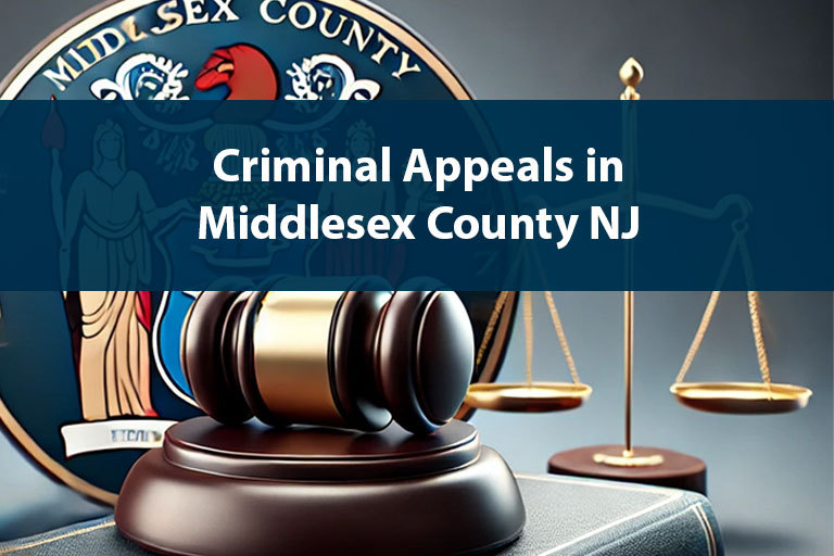 Criminal Appeals in Middlesex County NJ